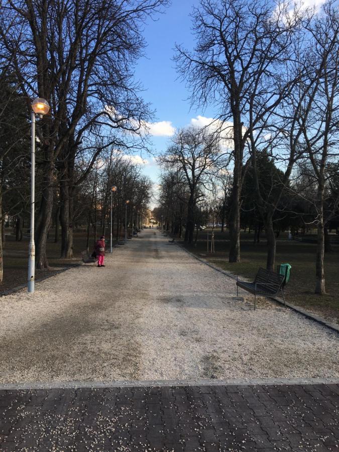 Appartamento Romantic Studio In Budapest 12Th District Close To Mom Park Esterno foto